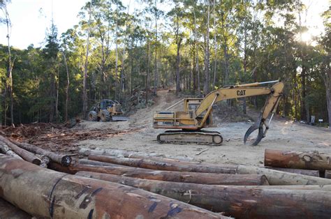 Native Forest Logging Review Supported By Labor The Echo