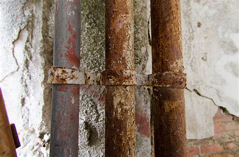 How does mold grow on concrete? Black Mold On Concrete Stock Photos, Pictures & Royalty ...