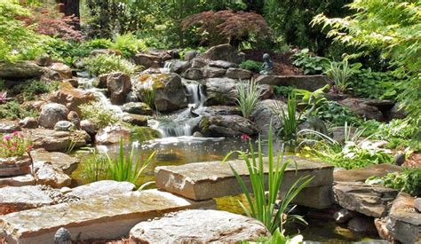 Water Garden Landscaping Ideas Backyard Pondless