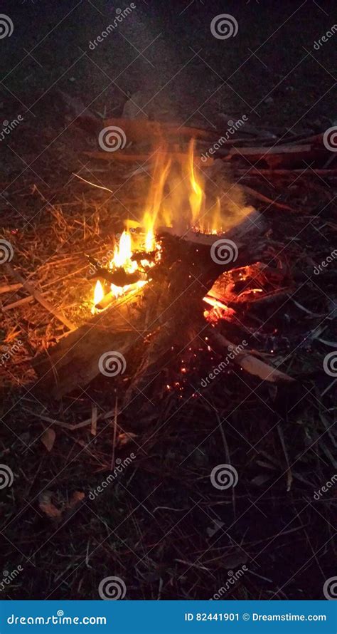 Campfire At Night Stock Image Image Of Campfire Wilderness 82441901