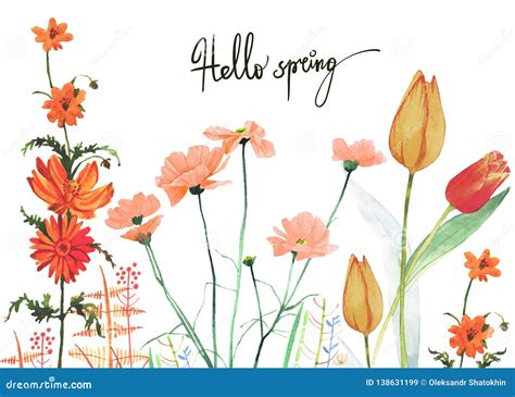 Watercolor Spring Colorful Flowers Growing Illustration Stock