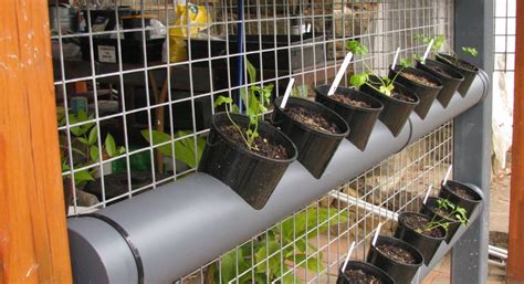 If you need a if you are handy, with the right set of equipment, you can make a garden arch with pvc pipe. Pin on สวนผัก