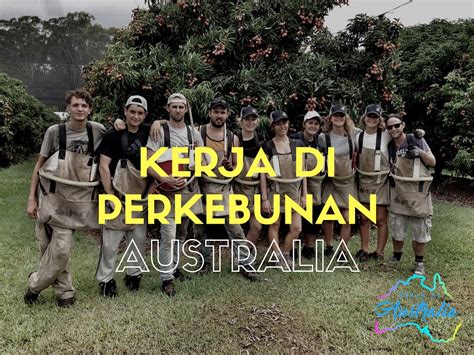 Hi guys, kali ini video tentang kerja di australia, sharing dari merlin (youtube channel : Kerja di Perkebunan Australia | Kerja di Australia
