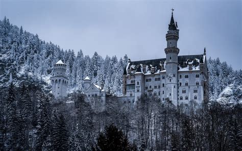 Wallpaper Germany Bayern Neuschwanstein Castle Trees Snow Winter