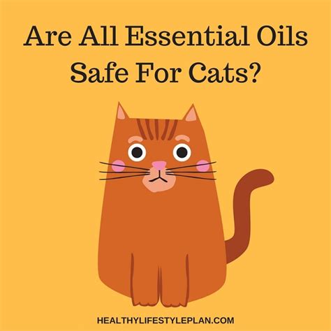 Yes—with the huge caveat that they're properly diluted, diffused, and used in moderation. Are All Essential Oils Safe For Cats?