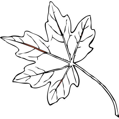 Maple Leaf Png Svg Clip Art For Web Download Clip Art Png Icon Arts