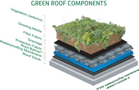 Sedums For Green Roofs