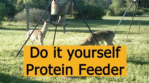 Do It Yourself Protein Deer Feeder Design For Hunting Youtube