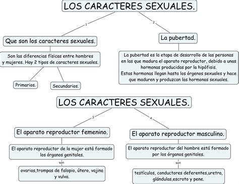 Caracteres Sexuales C Del Medio 6º Primaria