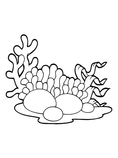 Kelp Coloring Pages