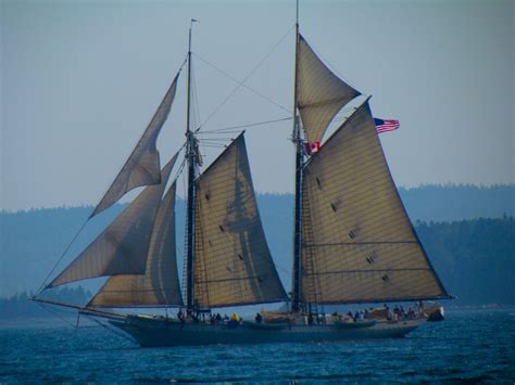 Schooner Heritage Under Sail Trenton Maine Sailing Sailing Ships