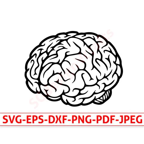 Brain Svg Human Brain Svg Brain Slihouette Brain Cut File Human
