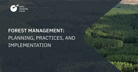 Forest Management Planning Practices And Implementation