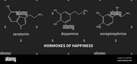 Hormones Of Happiness Serotonin Dopamine Norepinephrine Formula Of