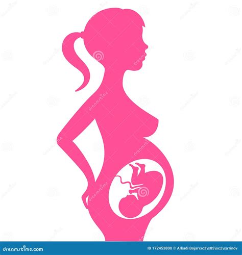 pregnant woman vector icon stock vector illustration of embryo 172453800