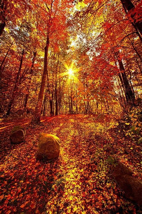 1000 Images About I Love Autumn On Pinterest Autumn Leaves Autumn