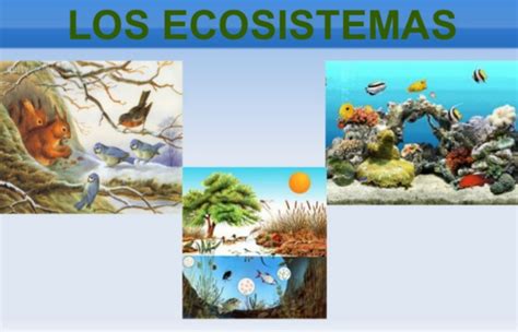 Los Ecosistemas Interrelaciones Y Cambios Pearltrees