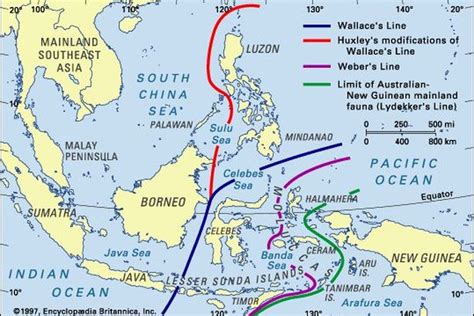 Keadaan Geografis Di Indonesia Yang Perlu Untuk Kamu Ketahui Free My