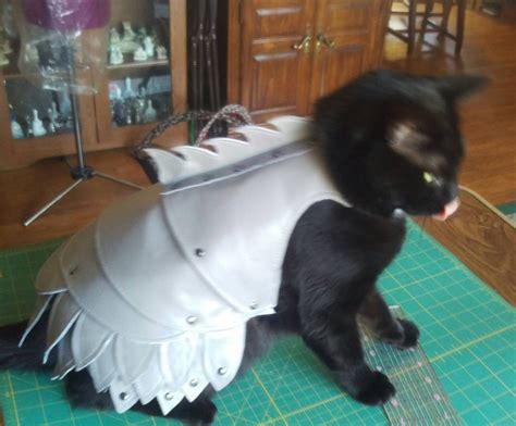 Custom Battle Cat Armor Cat Costume Cosplay Etsy