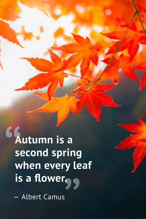 Autumn Is A Second Spring When Every Leaf Is A Flower