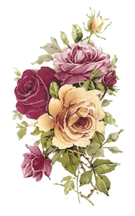 Download Plant Flower Rose Paper Vintage Flowering Clothing Hq Png