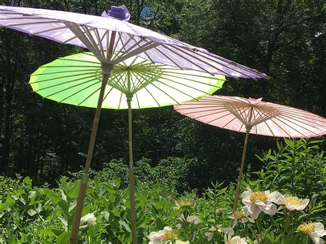 Peony Garden Umbrella – Cricket Hill Garden