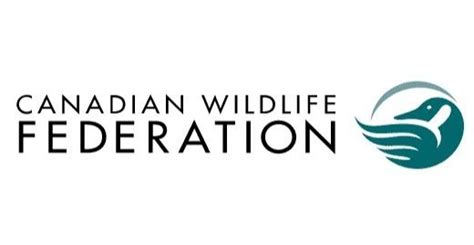 Volunteer Hub — Canadian Environmental Network