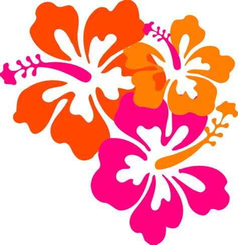 Hibiscus Flower Clipart Free Vector Best Flower Site