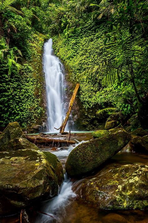 Forest Waterfall Bukidnon Philippines Located In The Northern