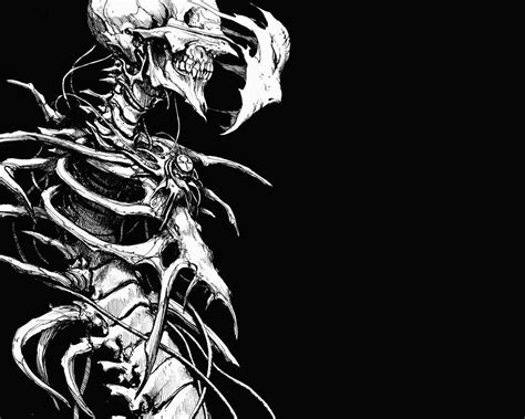 Dark Skeleton Wallpapers Wallpaper Cave