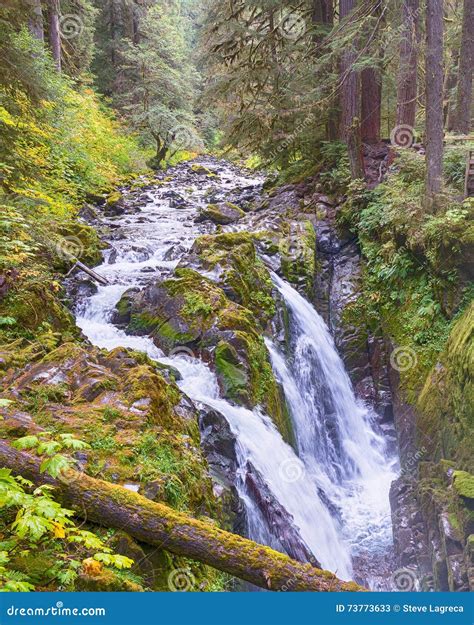 Sol Duc River Falls Olympic National Park Wa Stock Image Image Of