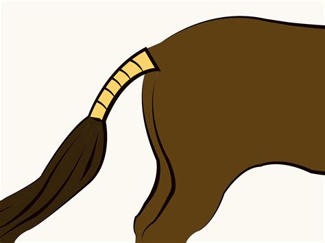Tail Clipart Clip Art Library