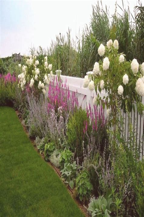 Famous Best Plants For Fence Line Uk References Herbalise