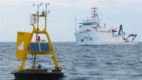 Science Expeditions Grays Reef National Marine Sanctuary