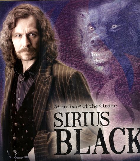 Sirius Pics Sirius Black Photo Sirius Black Harry Potter Harry