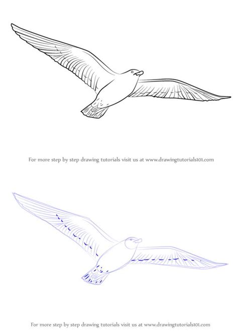 20 Easy Ideas To Draw Flying Birds How To Draw A Flying Bird 2022