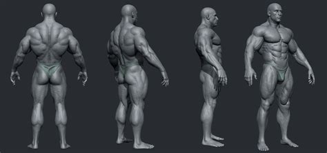 Male Body Builder Zbrushcentral