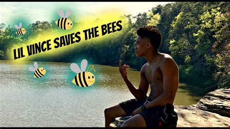 Save The Bees Youtube