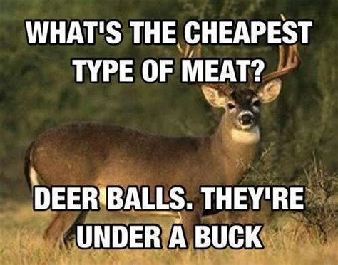 Pin By Danielle Taylor On Funnies Funny Hunting Pics Hunting Memes