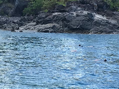 MAUI ECO ADVENTURES (Lahaina) - 2022 Qué saber antes de ir - Lo más