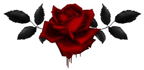 Gothic Rose Png Image Png Mart