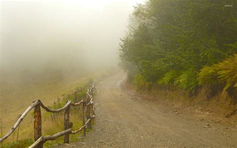 Foggy Path By The Forest Wallpaper Nature Wallpapers 37848