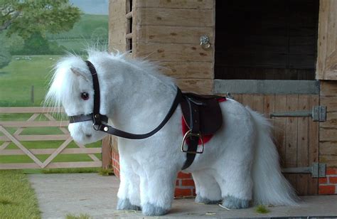 White Shetland Pony With Leather Tack Horse Behavior Baby Donkey