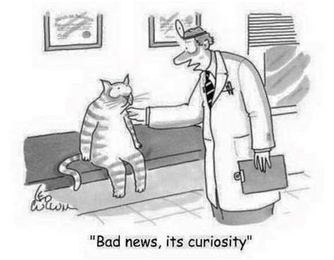 “Bad news, it’s curiosity” (cartoon) | alvinalexander.com