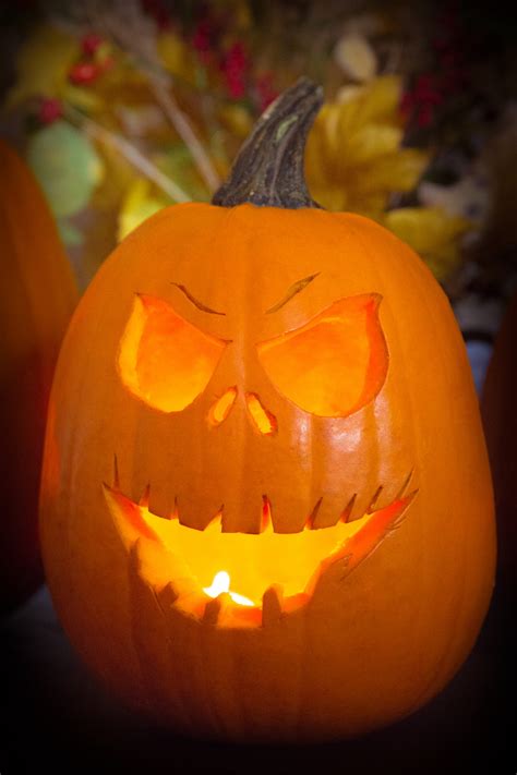 Halloween Pumpkin Faces Free Stock Photo Public Domain Pictures