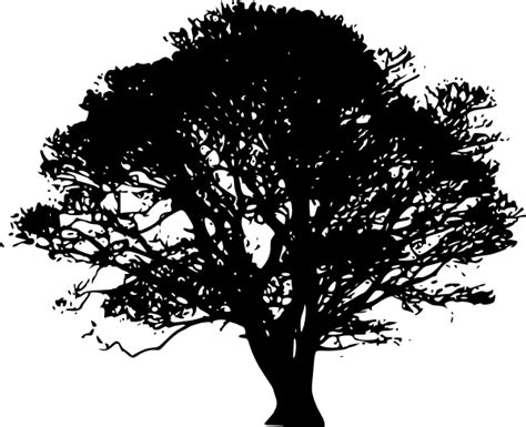 Silhouette Clip Art Tree Shadow Png Download 600488 Free