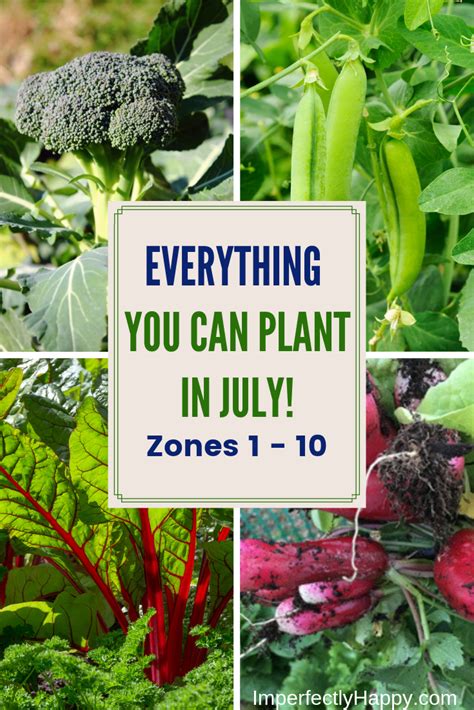 16 Comely Plants To Plant In July Inspiratif Design