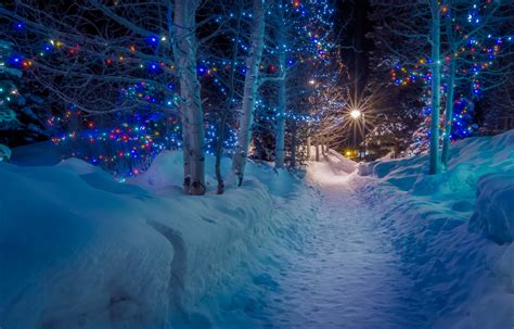 Where To See The Best And Most Beautiful Christmas Lights In Ottawa