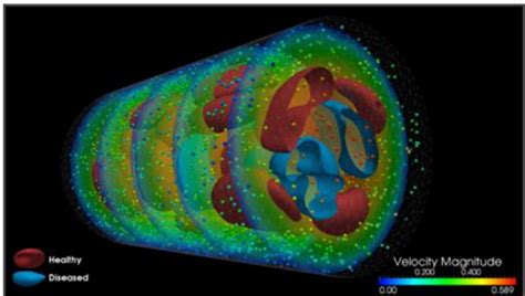 Academic and scholarly discussion of both scopus and web of science. 10 Award-Winning Scientific Simulation Videos | Argonne ...