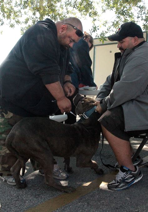 Animal Control Program takes good care of pets • The Seminole Tribune